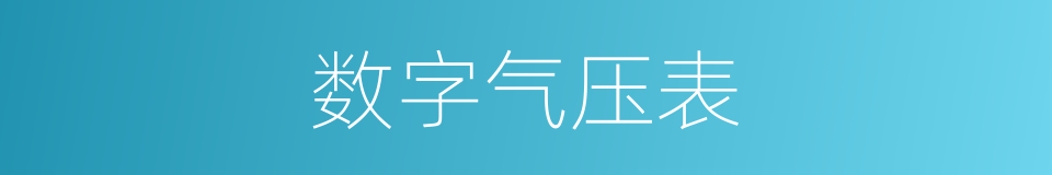 数字气压表的同义词