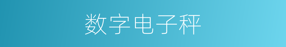 数字电子秤的同义词