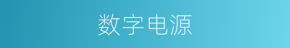 数字电源的同义词