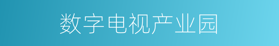 数字电视产业园的同义词