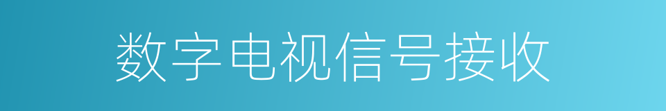 数字电视信号接收的同义词