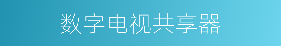 数字电视共享器的同义词