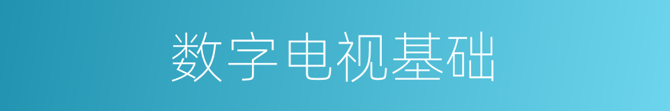 数字电视基础的同义词