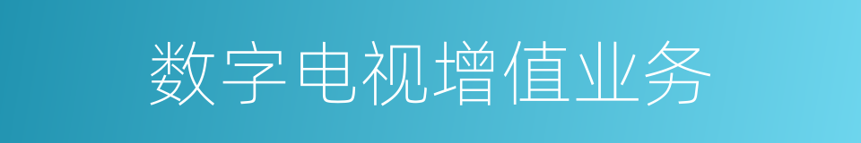 数字电视增值业务的同义词