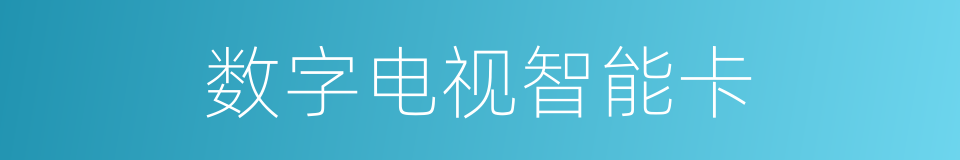 数字电视智能卡的同义词