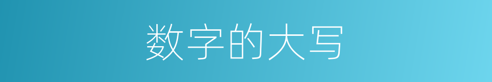 数字的大写的同义词