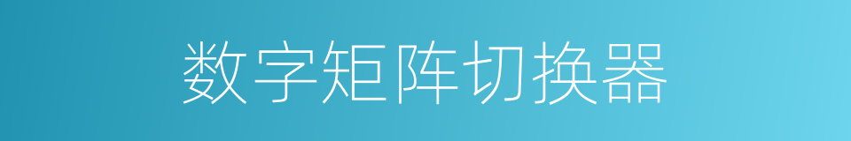 数字矩阵切换器的同义词