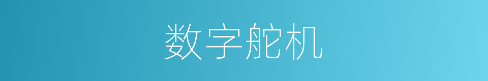 数字舵机的同义词