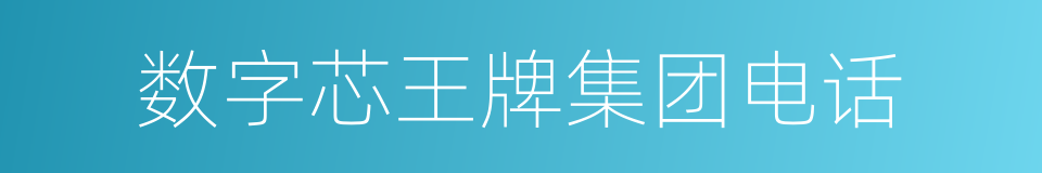 数字芯王牌集团电话的同义词