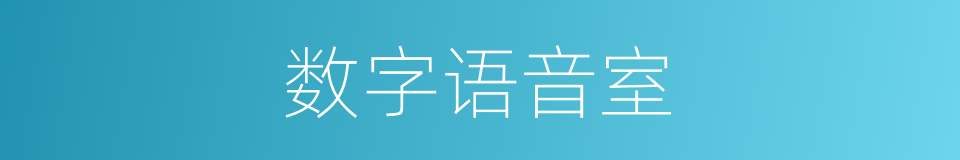 数字语音室的意思