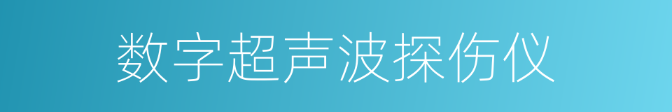 数字超声波探伤仪的同义词