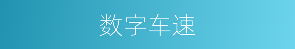 数字车速的同义词