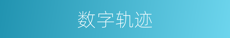 数字轨迹的同义词