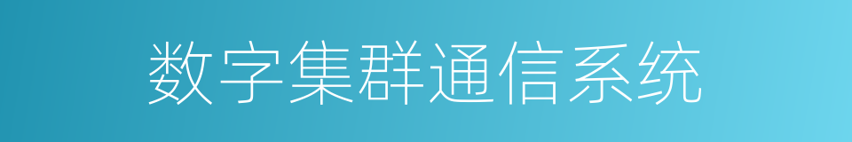 数字集群通信系统的同义词