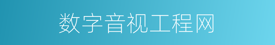 数字音视工程网的同义词