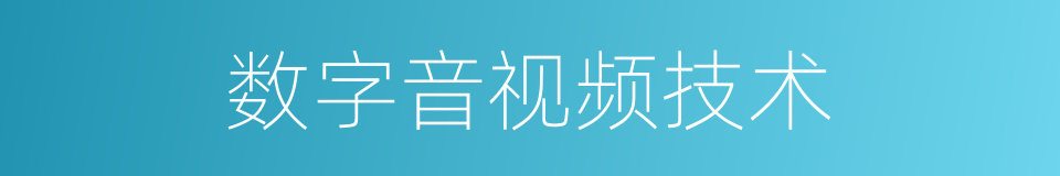 数字音视频技术的同义词