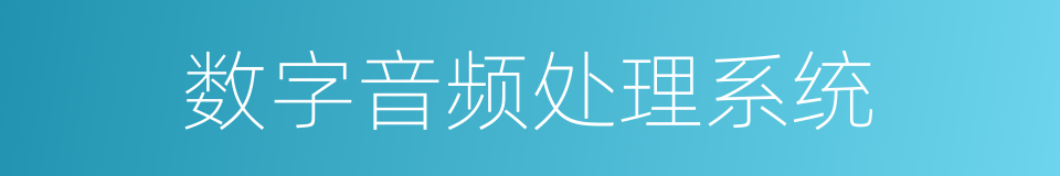 数字音频处理系统的同义词
