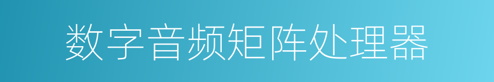 数字音频矩阵处理器的同义词