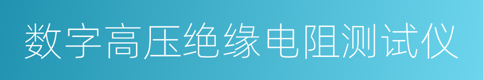 数字高压绝缘电阻测试仪的同义词