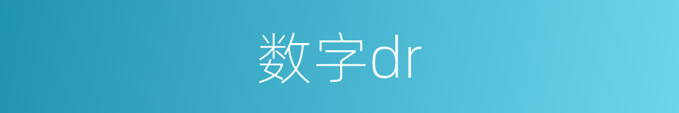 数字dr的同义词