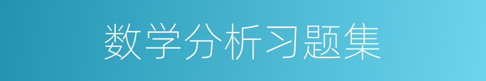 数学分析习题集的同义词