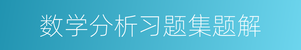 数学分析习题集题解的同义词