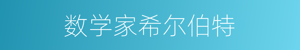 数学家希尔伯特的同义词