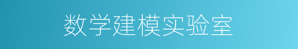 数学建模实验室的同义词