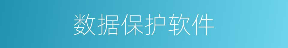 数据保护软件的同义词