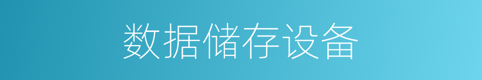 数据储存设备的同义词