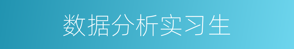 数据分析实习生的同义词