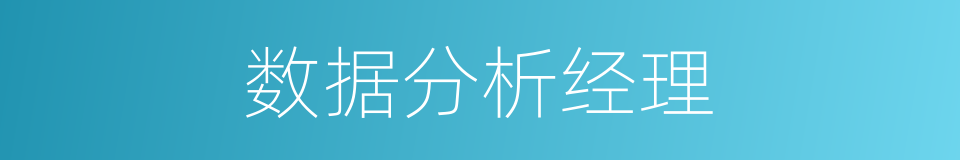 数据分析经理的同义词