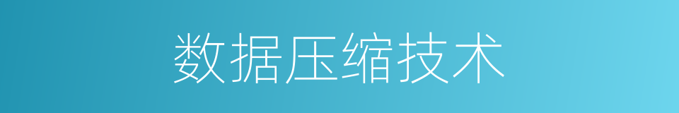 数据压缩技术的同义词