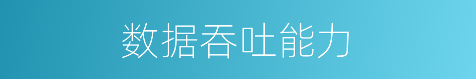 数据吞吐能力的同义词
