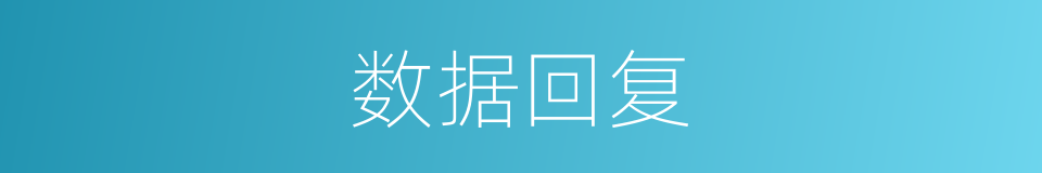 数据回复的同义词