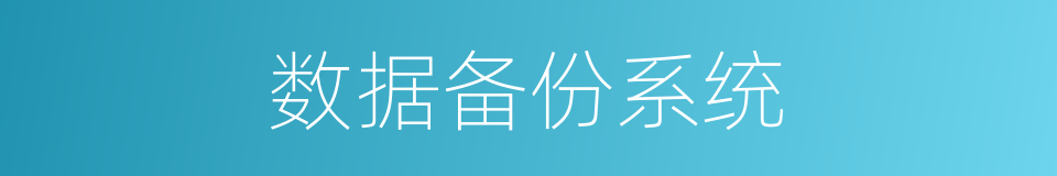 数据备份系统的同义词