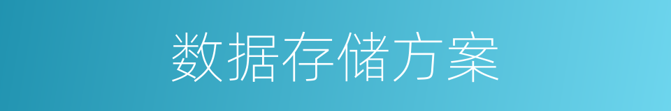 数据存储方案的同义词