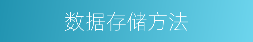 数据存储方法的同义词