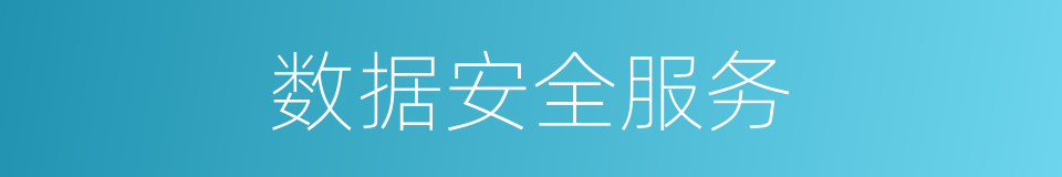 数据安全服务的同义词