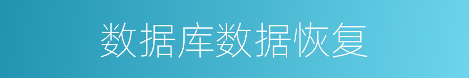 数据库数据恢复的同义词