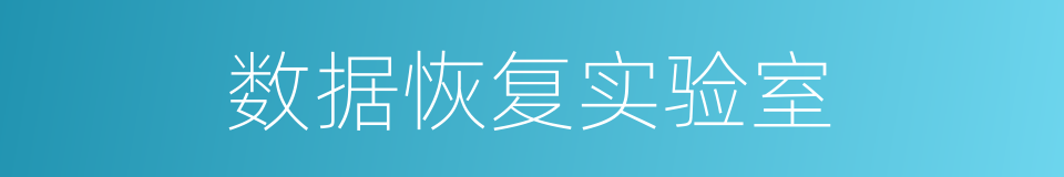 数据恢复实验室的同义词