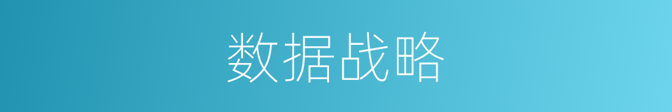 数据战略的同义词
