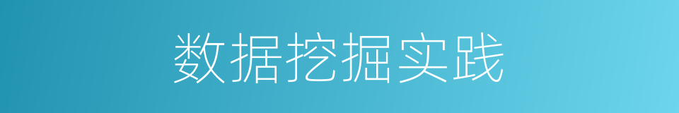 数据挖掘实践的同义词