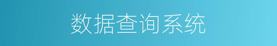 数据查询系统的同义词