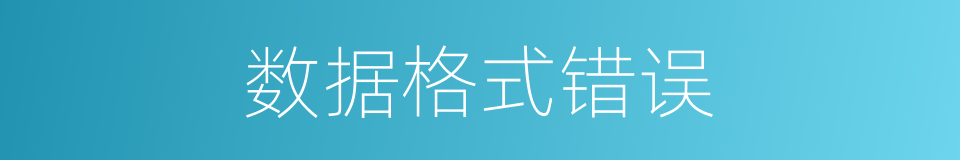数据格式错误的同义词