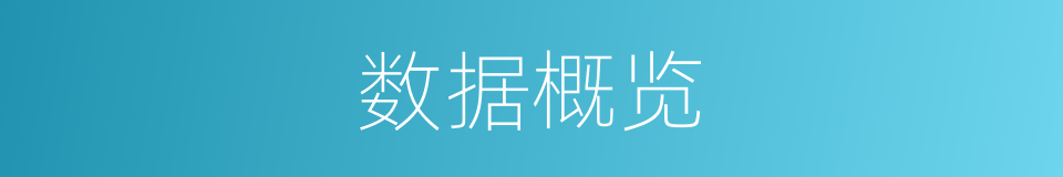 数据概览的同义词