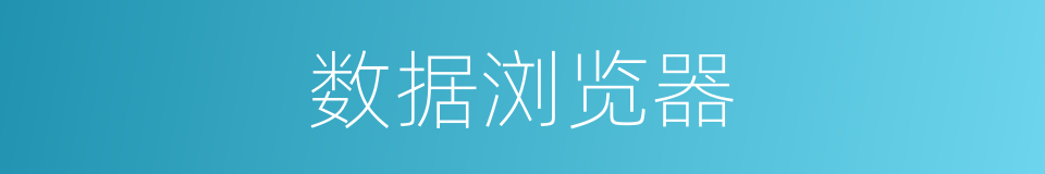 数据浏览器的同义词