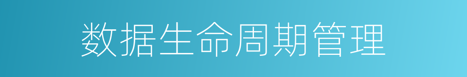 数据生命周期管理的同义词