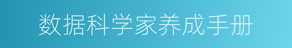 数据科学家养成手册的同义词