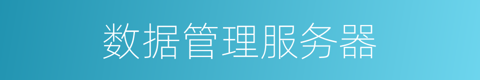 数据管理服务器的同义词